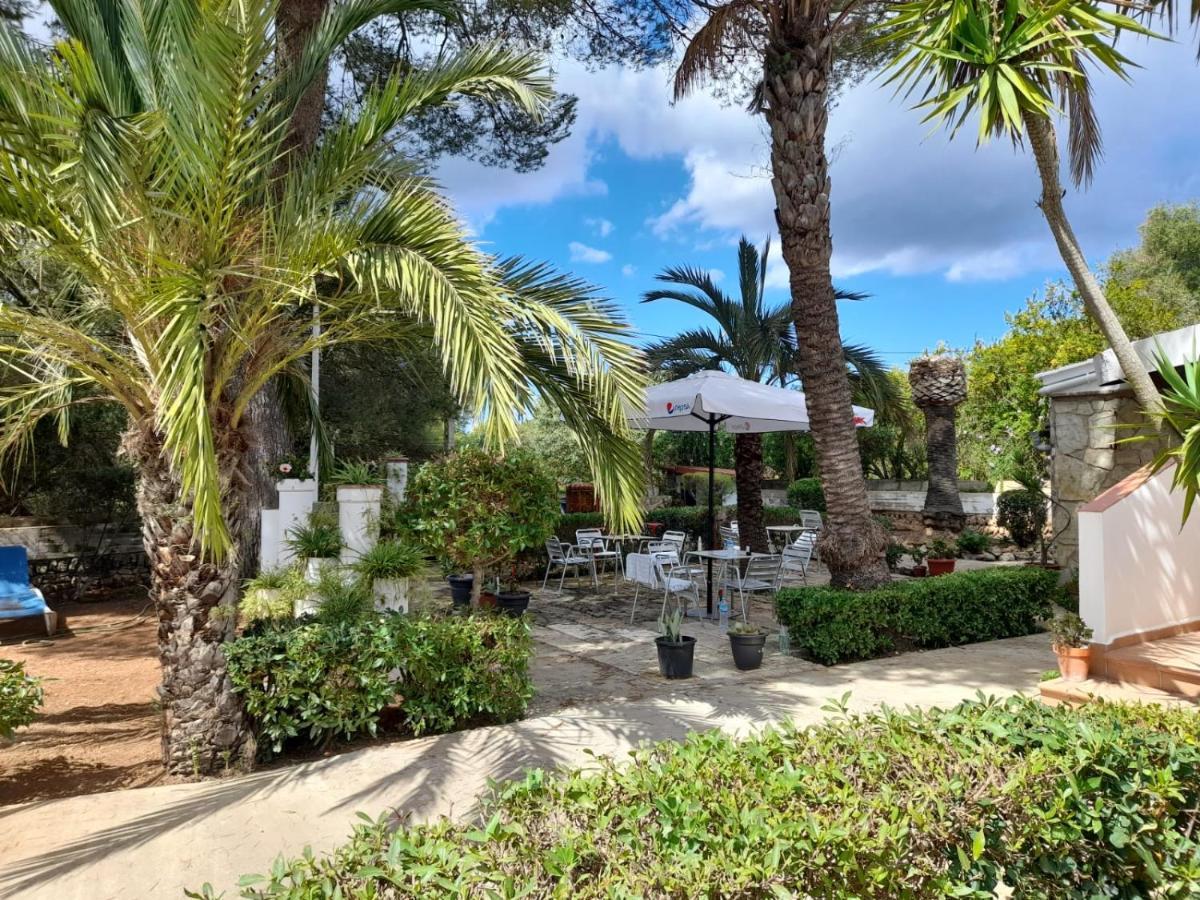 Hostal Residencia Alma Port d'Alcúdia Exteriér fotografie